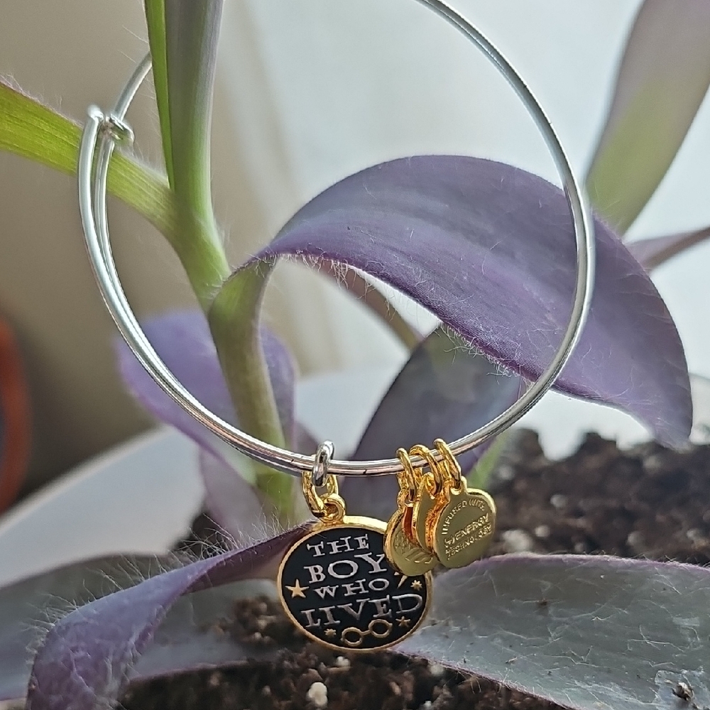 Alex And Ani Silver & Gold Harry Potter Charm Bracelet-NWOT Hard To Find ❤️ - Picture 2 of 3